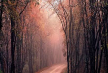 里昂对阵洛里昂，双方都渴望取胜