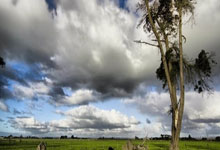 韩国篮球超级联赛首尔军团夺得总冠军