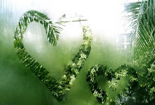 摩纳哥客场险胜AC米兰，提前晋级淘汰赛：足球奇迹的诞生