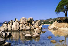 紧张刺激的欧洲杯预选赛！